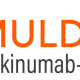 Imuldosa Logo